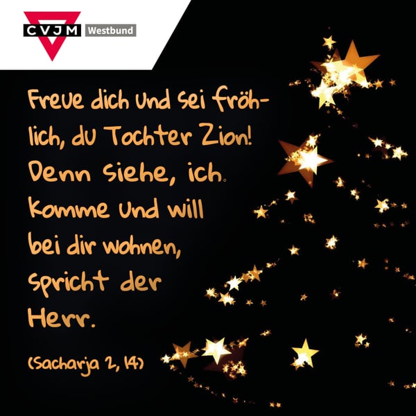 Weihnachtsgruß 2019